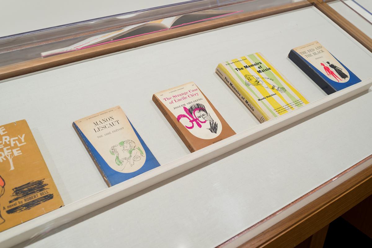 Printed books featuring brightly covered illustrations on their covers in a display case