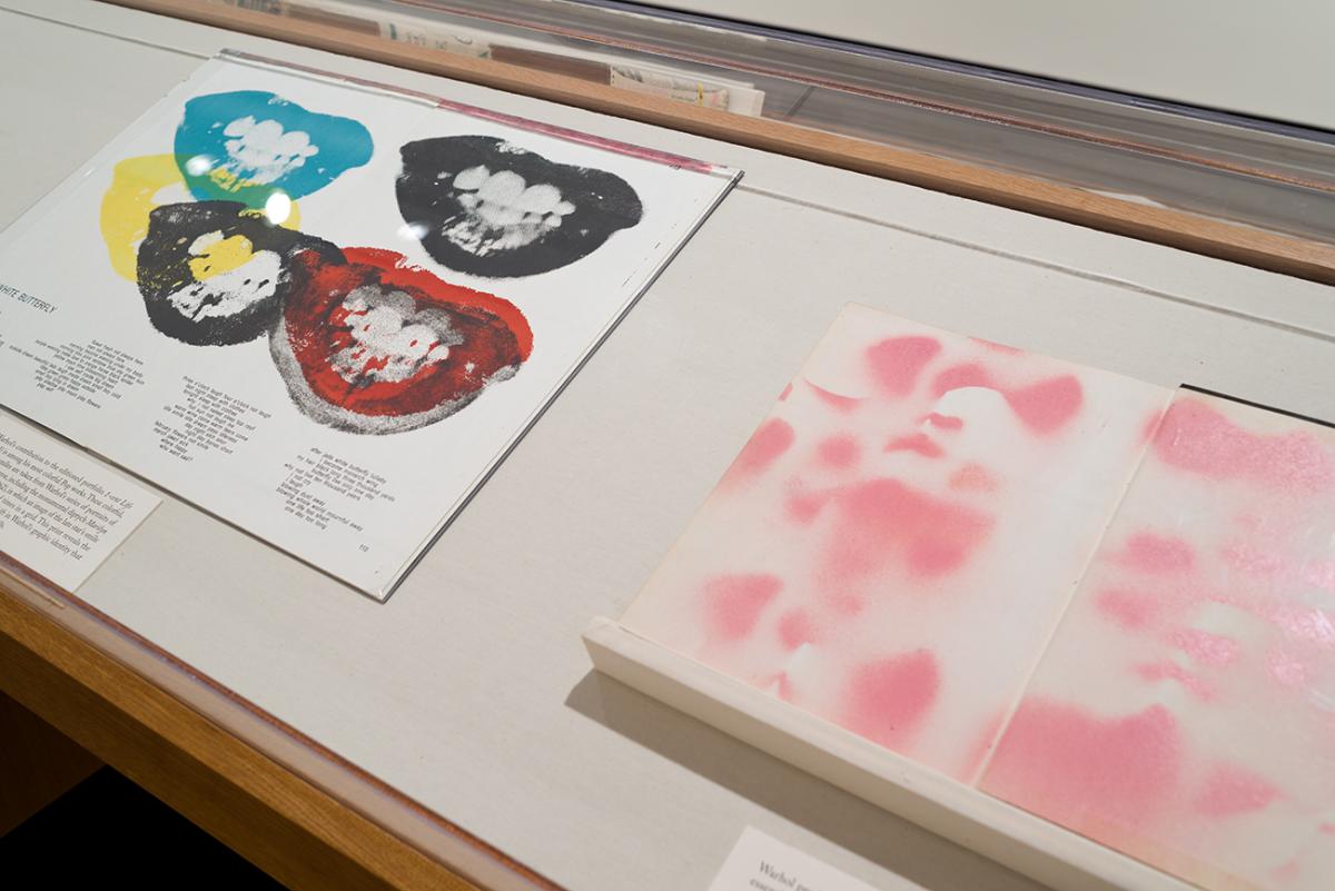 Printed album covers in a display case